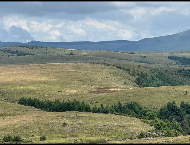1,730HA FARM FOR SALE IN DARGLE